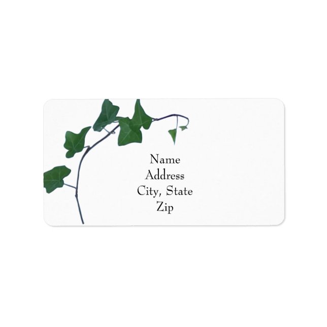 Classic watercolor Green English Ivy     Label (Front)