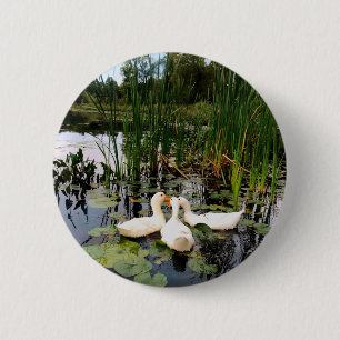 Classic white ducks on beautiful lake 2 inch round button