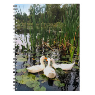 Classic white ducks on beautiful lake notebook