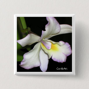 Classic White Orchid 2 Inch Square Button