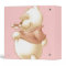 Classic Winnie the Pooh 1