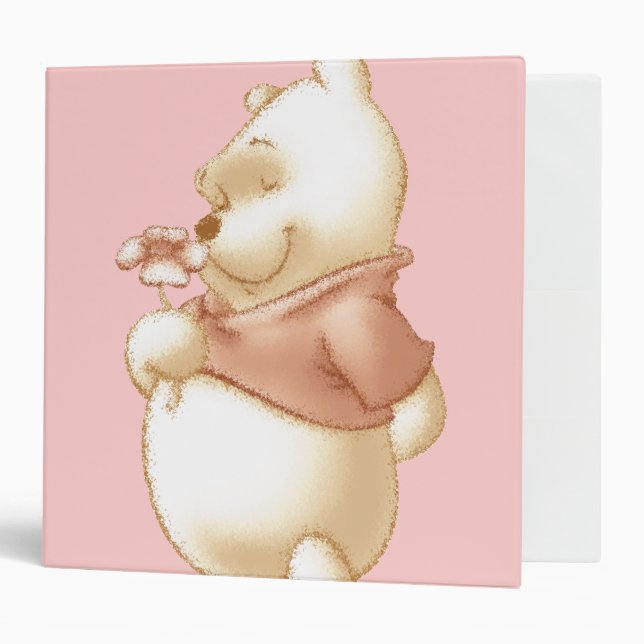 Classic Winnie the Pooh 1 Binder (Front/Inside)
