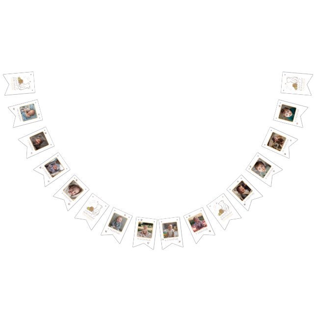 Classic Winnie the Pooh First Birthday Bunting Flags (All)