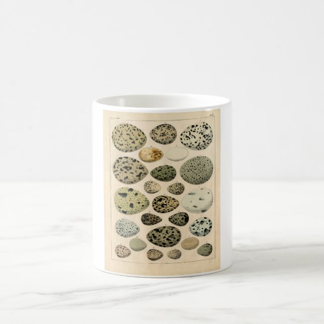 Classic Zoological Etching - Bird Eggs Coffee Mug (Center)