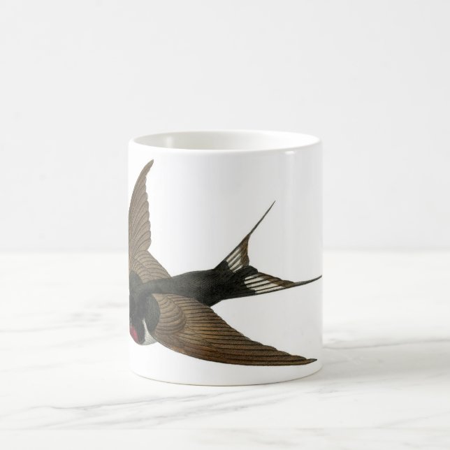 Classic Zoological Etching - Swallow Coffee Mug (Center)