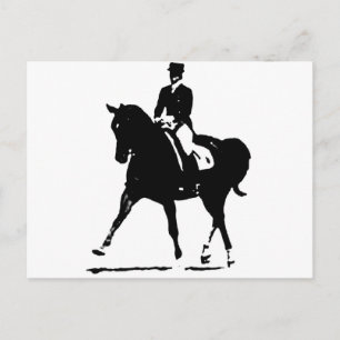 Classical Dressage 7 Postcard