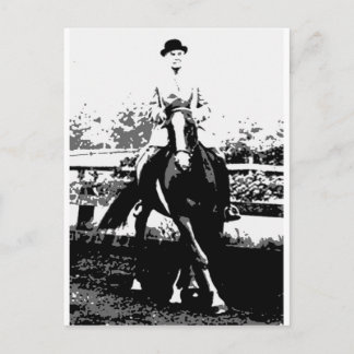Classical Horse 14 Postcard