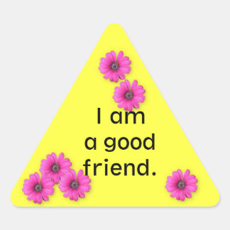 Classroom Behavior Management  triangle sticker