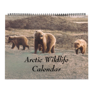 Classy  Arctic Wildlife Alaska Photo Designed Calendar