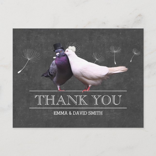 Classy Chalkboard Mr. and Mrs. Birds Thank You Postcard (Front)