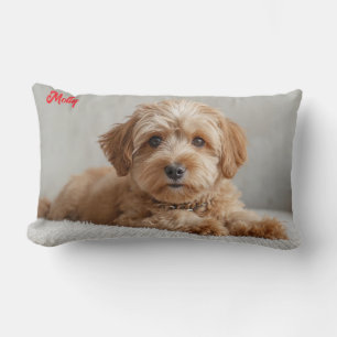 Classy Doodle Personalized Lumbar Pillow