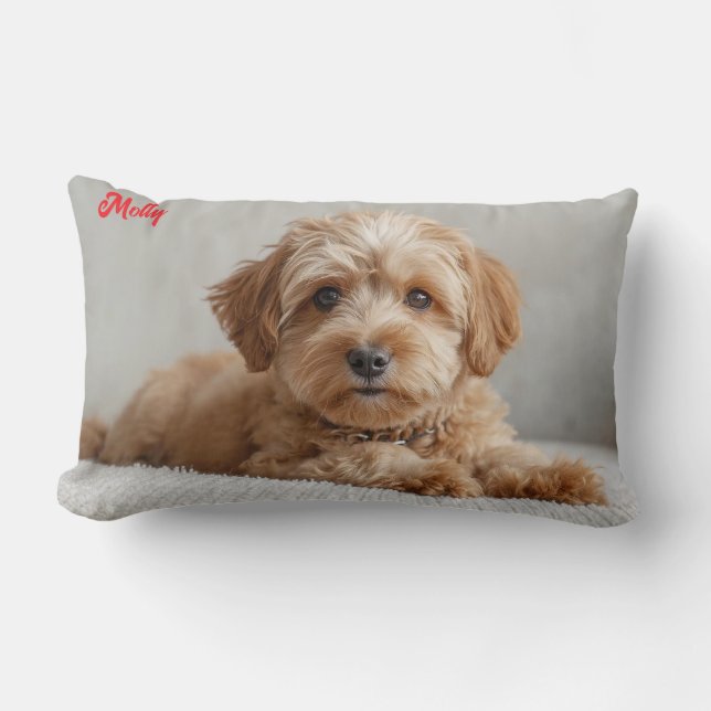 Classy Doodle Personalized Lumbar Pillow (Front)