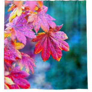 Classy Japanese Maple leaves