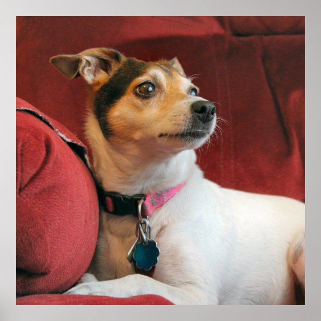 Classy  poster (Front)