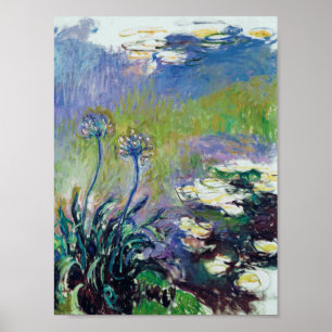 Claude Monet - Agapanthus, Poster
