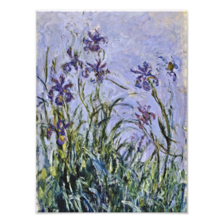 Claude Monet - Iris Mauves Photo Print