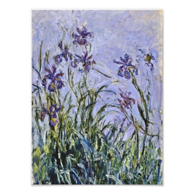 Claude Monet - Iris Mauves Photo Print (Front)