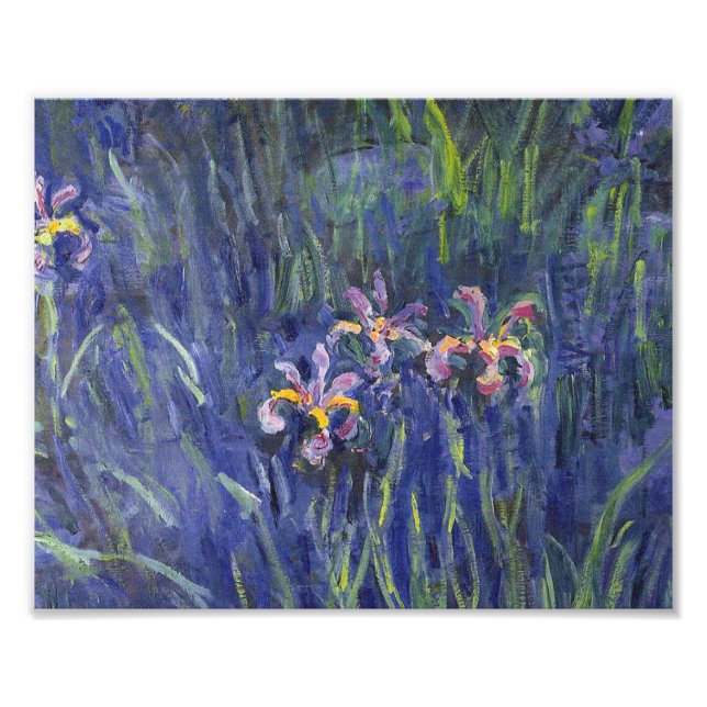 Claude Monet - Irises Photo Print (Front)