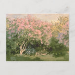 Claude Monet | Lilac in the Sun, 1873 Postcard<br><div class="desc">Lilac in the Sun,  1873 | by Claude Monet | Art Location: Pushkin Museum,  Moscow,  Russia | French Artist | Image Collection Number: XIR182548</div>