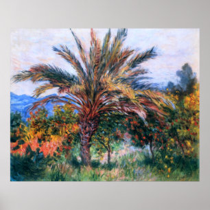 Claude Monet: Palm Tree at Bordighera Poster