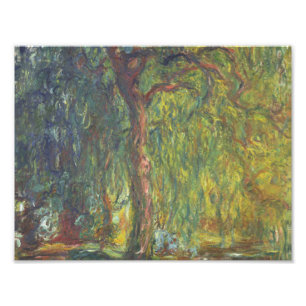 Claude Monet - Weeping Willow Photo Print