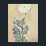 Claude Monet | White Poppy, 1883 Postcard<br><div class="desc">Image:116879  White Poppy,  1883 (oil on canvas). Monet,  Claude (1840-1926). Private Collection.  Art,  Fine Art.</div>