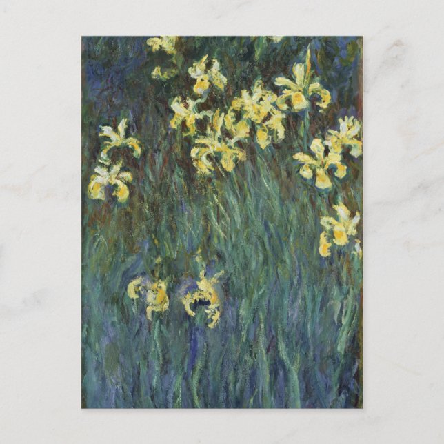 Claude Monet - Yellow Irises Postcard (Front)