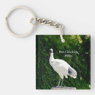 Clavier Ibis (Bin Chicken Pfftt)