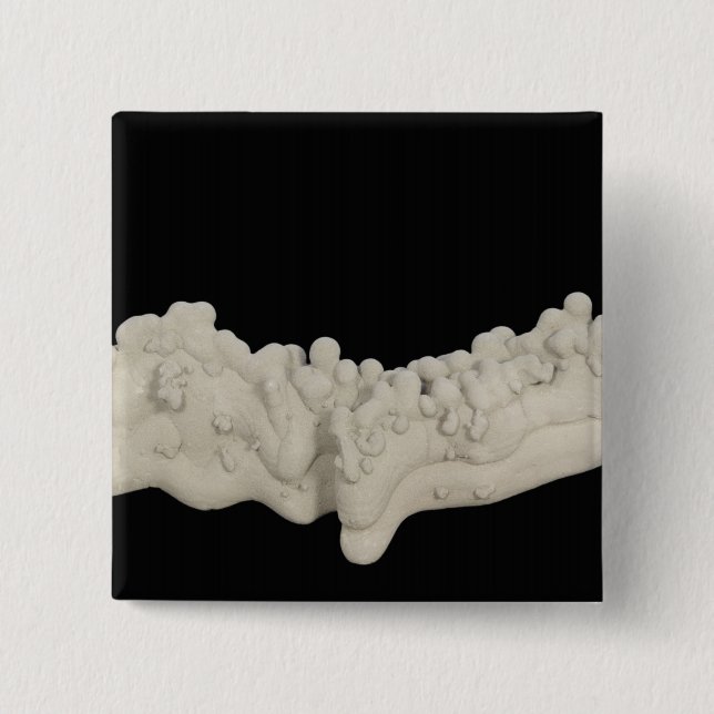 Clay Concretion 2 Inch Square Button (Front)