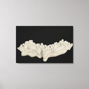 Clay Concretion Canvas Print