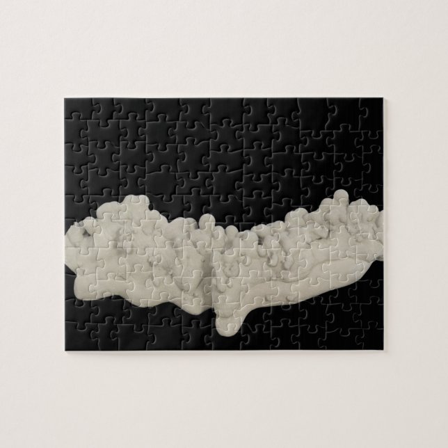 Clay Concretion Jigsaw Puzzle (Horizontal)