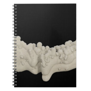 Clay Concretion Notebook