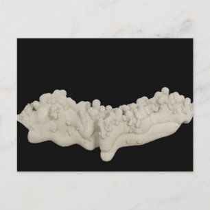 Clay Concretion Postcard