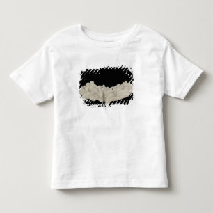 Clay Concretion Toddler T-shirt