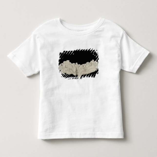 Clay Concretion Toddler T-shirt (Front)