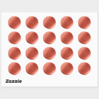 Clay Orange Calligraphy Monogram Wax Seal Stickers