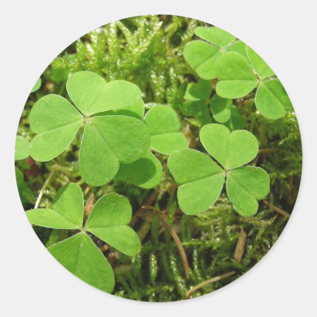 Clé de fermeture - autocollants (Devant)