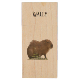 Clé USB Capybara