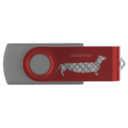 Clé USB Teckel de plaid sur le rouge