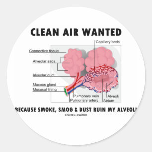 Clean Air Wanted (Health & Medicine Alveoli Humour Classic Round Sticker