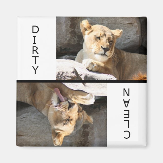 Clean Dirty Lioness Magnet (Front)