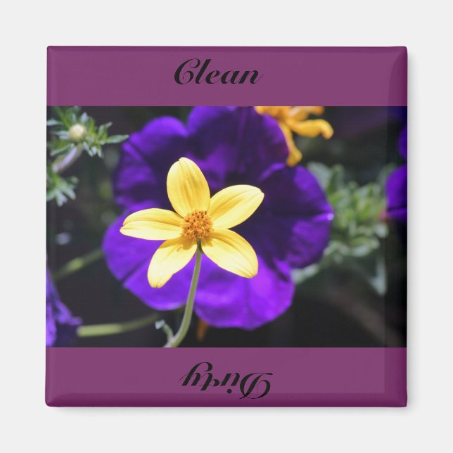 clean,dirty magnet (Front)