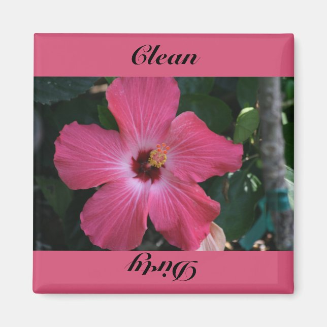 clean,dirty magnet (Front)