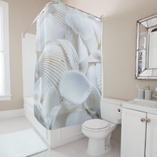 Clean White Seashells Beauty In Nature