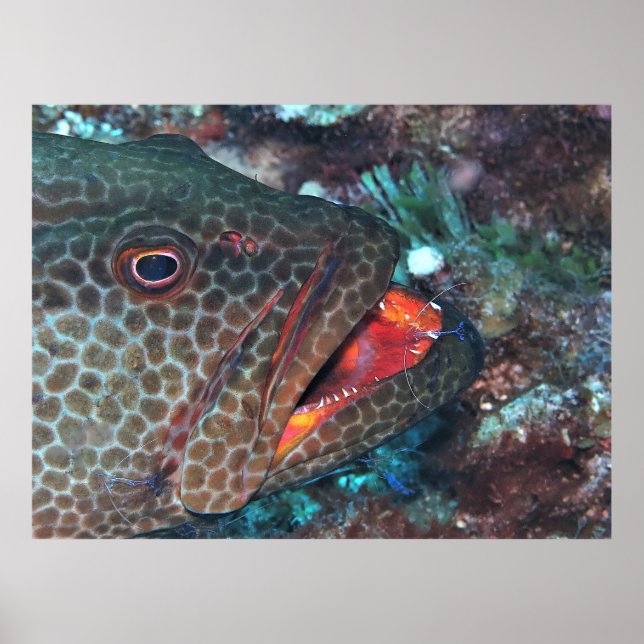 Cleaning Service Poster (Front)