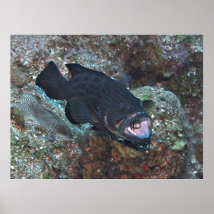 Cleaning Station Poster