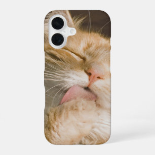 Cleaning Up   Maine Coon  Cat Close-Up Photograph iPhone 16 Case