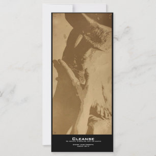 "Cleanse" Value Bookmark