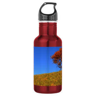 Clear Autumn Day 532 Ml Water Bottle