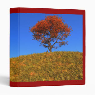 Clear Autumn Day Binder